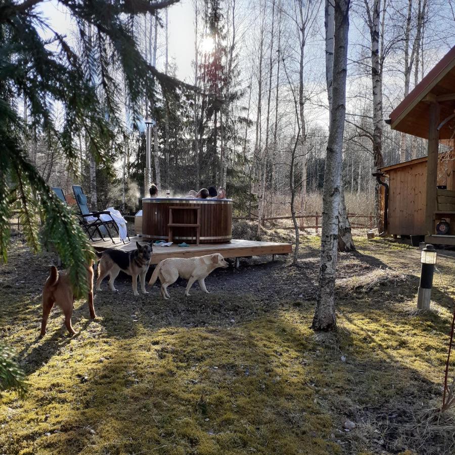 Guest House Leveri Valgalciems Exterior photo